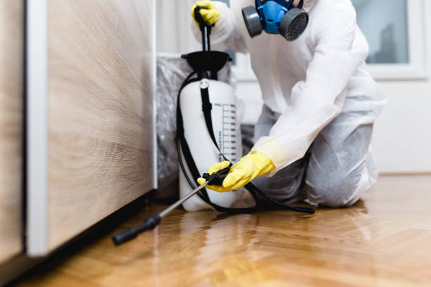 Flea Control Services in Hartshorne, OK