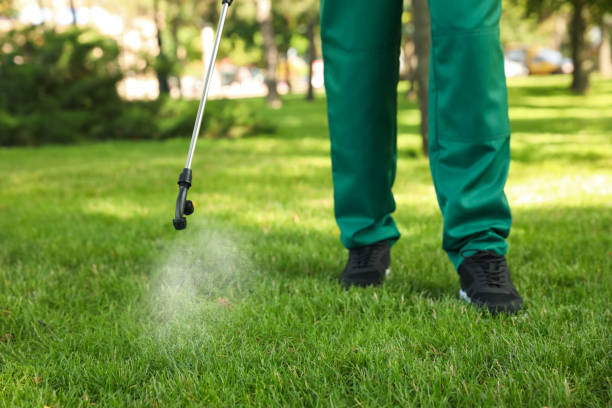 Best Pest Removal Services  in Hartshorne, OK