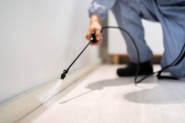 Best Local Pest Control Services  in Hartshorne, OK