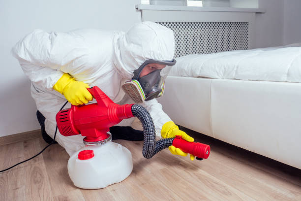 Best Bed Bug Extermination  in Hartshorne, OK