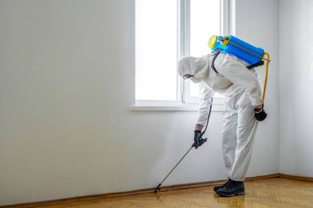 Best Bed Bug Extermination  in Hartshorne, OK