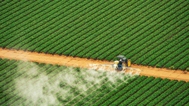 Trusted Hartshorne, OK Pest Control Experts