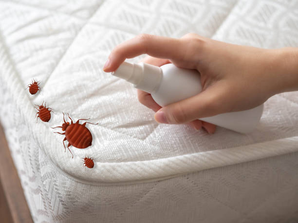 Best Exterminator Services  in Hartshorne, OK