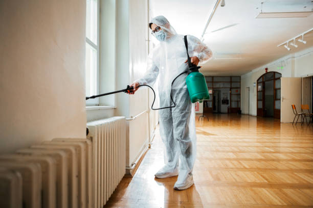 Best Flea Control Services  in Hartshorne, OK