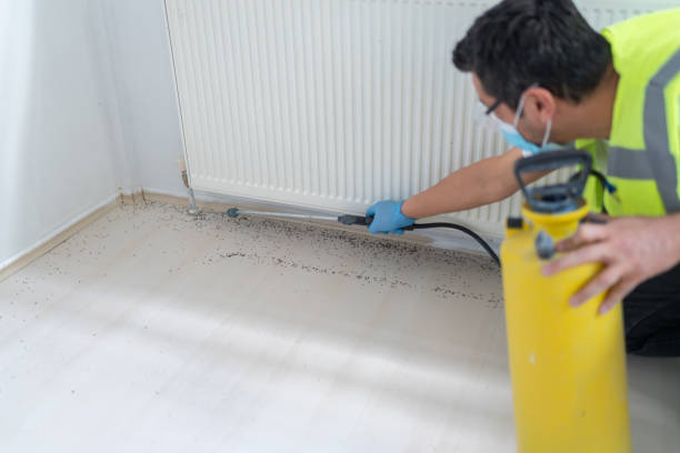 Best Pest Inspection Near Me  in Hartshorne, OK