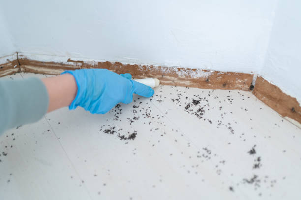 Best Affordable Pest Control Services  in Hartshorne, OK